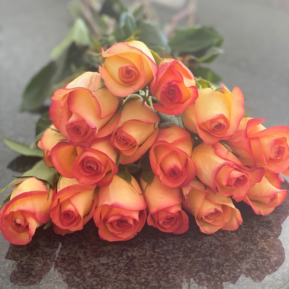 Meet your Posher, Nawzat